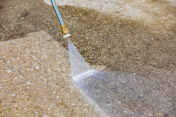 Animal Enclosure Cleaning in Oneonta, NY
